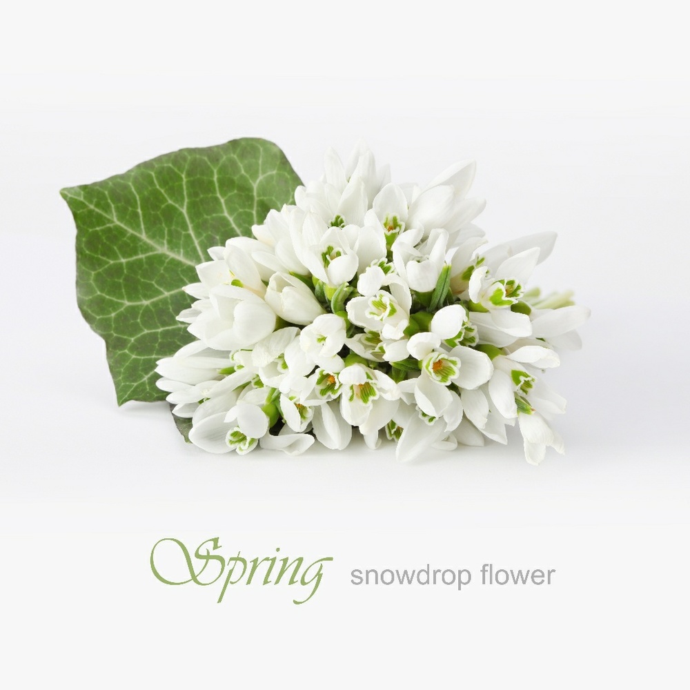 Meet your Posher, Dee